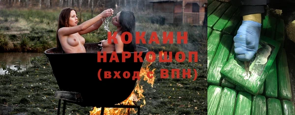 твердый Каменка