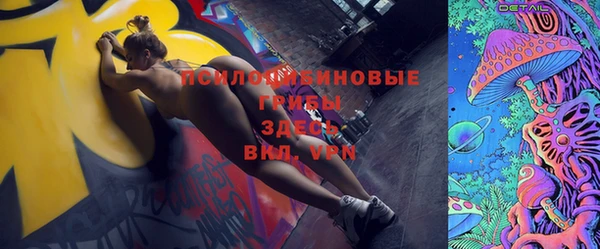 твердый Каменка