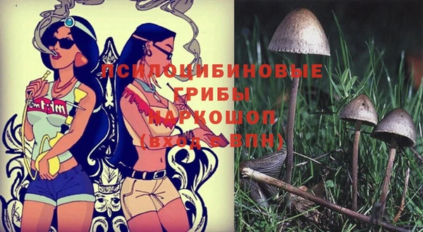прущий лед Каменногорск